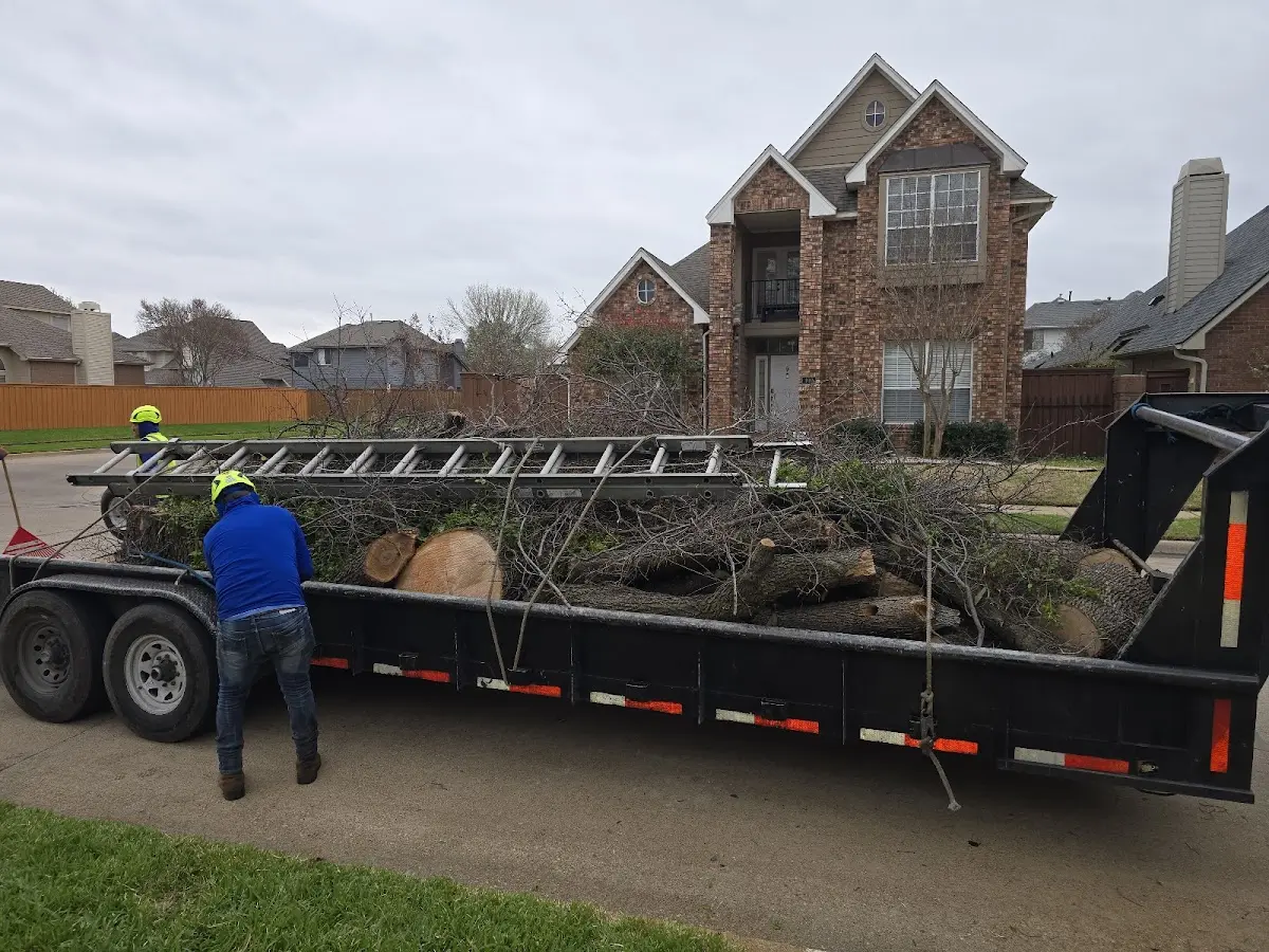 Expert Lot Clearing with proper safety equipment in Fields Landing
